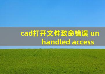 cad打开文件致命错误 unhandled access